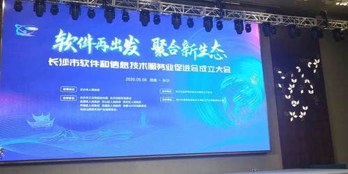 長沙市軟件和信息技術(shù)服務(wù)業(yè)促進(jìn)會(huì)隆重召開，搜云科技受邀共商科技信息咨詢服務(wù)新藍(lán)圖